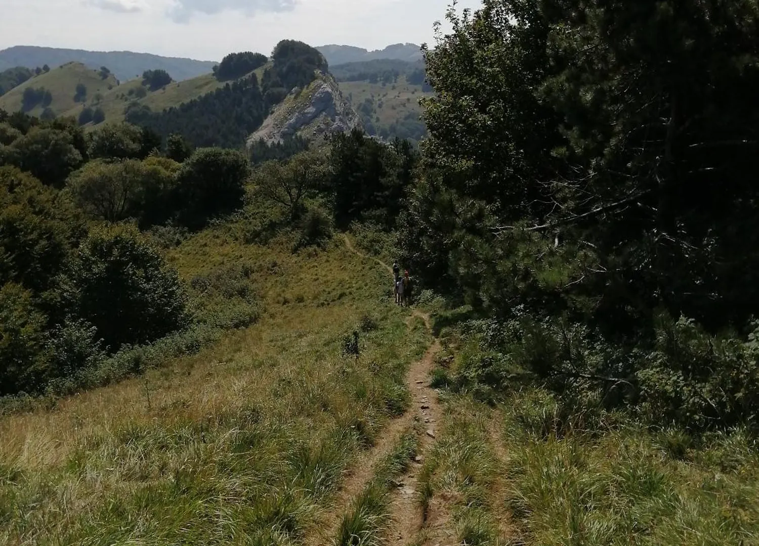 Az. Agr. Il Paradiso Di Beatrice Bondielli Pontremoli 0*,  Italy